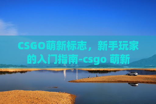 CSGO萌新标志，新手玩家的入门指南-csgo 萌新