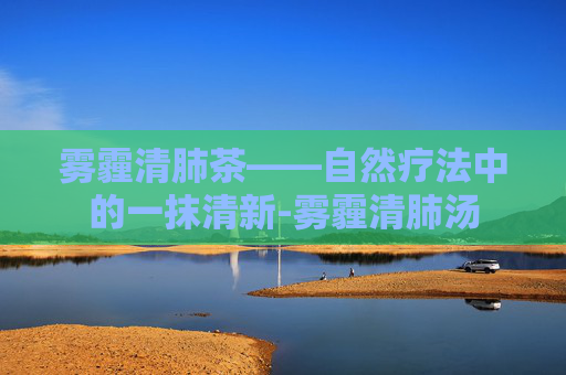 雾霾清肺茶——自然疗法中的一抹清新-雾霾清肺汤