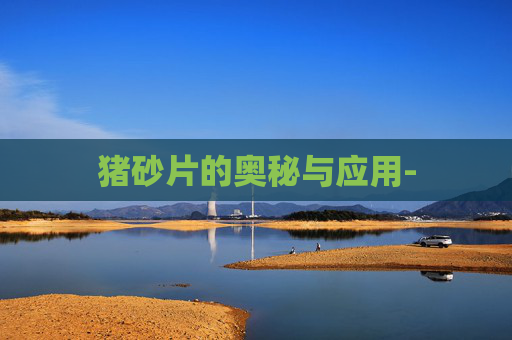 猪砂片的奥秘与应用-