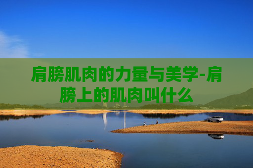 肩膀肌肉的力量与美学-肩膀上的肌肉叫什么