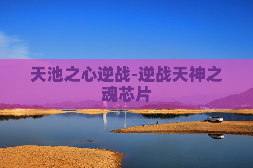 天池之心逆战-逆战天神之魂芯片