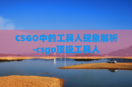 CSGO中的工具人现象解析-csgo顶级工具人