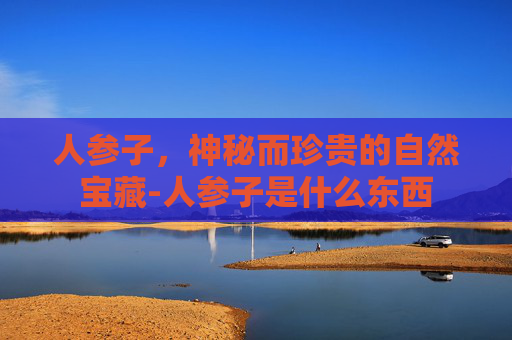 人参子，神秘而珍贵的自然宝藏-人参子是什么东西