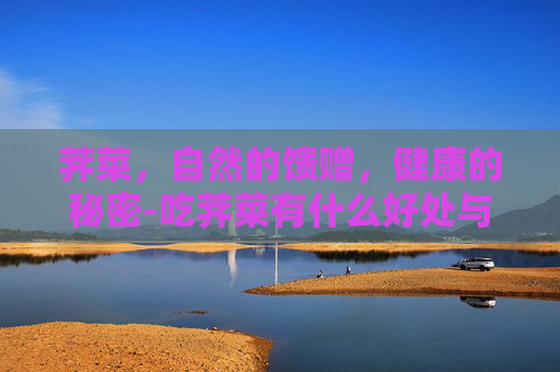 荠菜，自然的馈赠，健康的秘密-吃荠菜有什么好处与功效