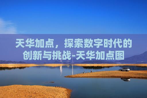 天华加点，探索数字时代的创新与挑战-天华加点图