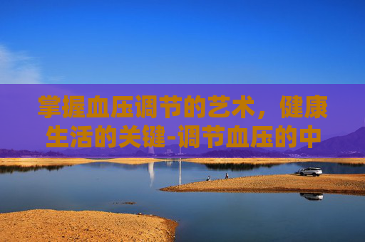 掌握血压调节的艺术，健康生活的关键-调节血压的中药