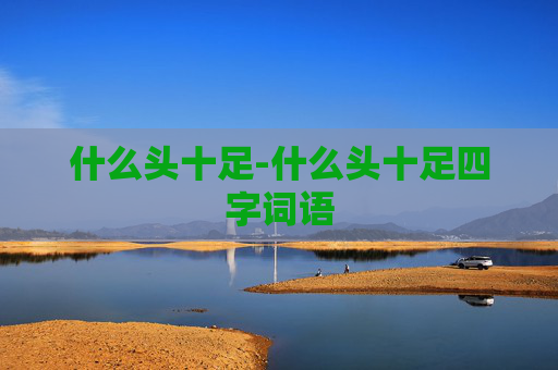 什么头十足-什么头十足四字词语