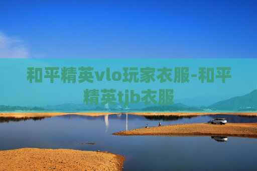 和平精英vlo玩家衣服-和平精英tjb衣服