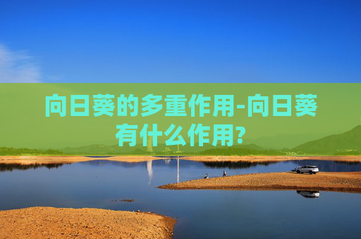 向日葵的多重作用-向日葵有什么作用?