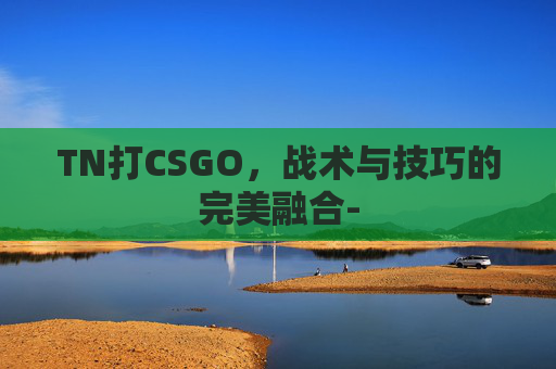 TN打CSGO，战术与技巧的完美融合-