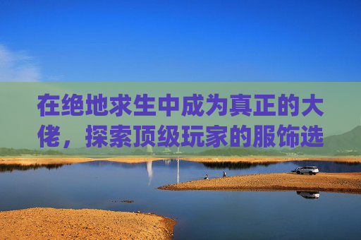 在绝地求生中成为真正的大佬，探索顶级玩家的服饰选择-pubg服装图鉴