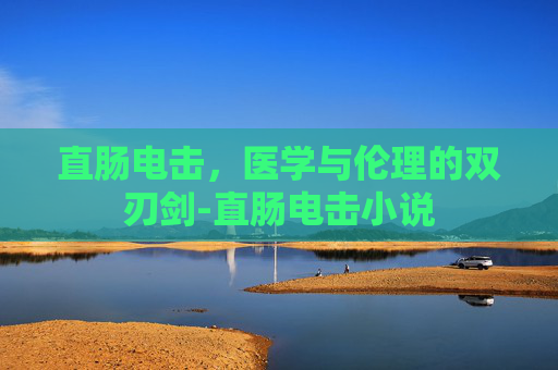 直肠电击，医学与伦理的双刃剑-直肠电击小说
