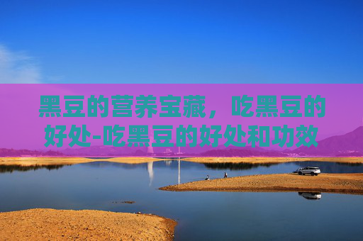 黑豆的营养宝藏，吃黑豆的好处-吃黑豆的好处和功效