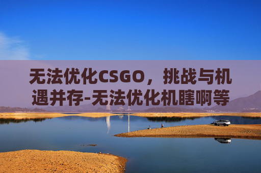 无法优化CSGO，挑战与机遇并存-无法优化机瞎啊等死!!!!