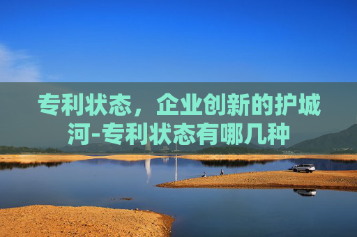 专利状态，企业创新的护城河-专利状态有哪几种