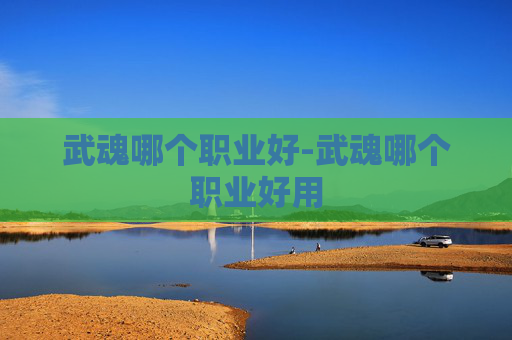 武魂哪个职业好-武魂哪个职业好用