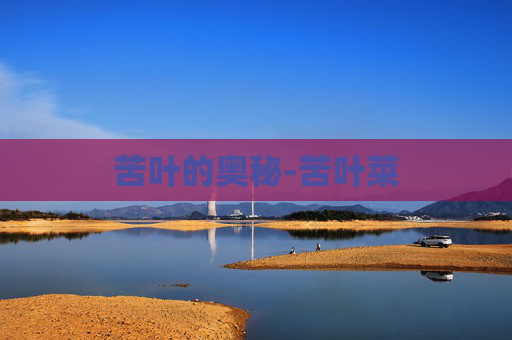 苦叶的奥秘-苦叶菜