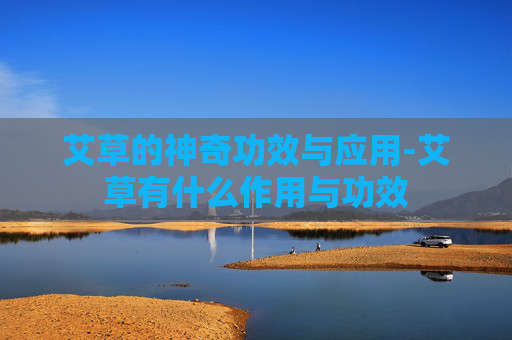 艾草的神奇功效与应用-艾草有什么作用与功效