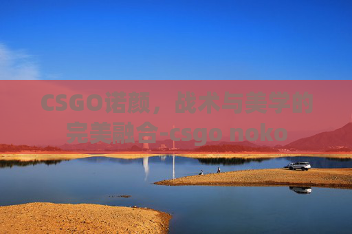 CSGO诺颜，战术与美学的完美融合-csgo noko