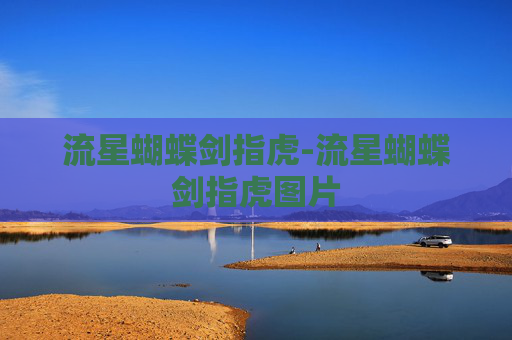 流星蝴蝶剑指虎-流星蝴蝶剑指虎图片