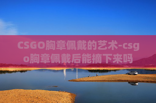 CSGO胸章佩戴的艺术-csgo胸章佩戴后能摘下来吗 CSGO胸章佩戴的艺术-csgo胸章佩戴后能摘下来吗