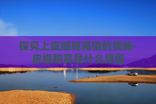 探究上皮细胞高值的奥秘-皮细胞高是什么原因