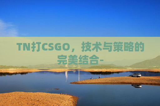 TN打CSGO,技术与策略的完美结合- TN打CSGO,技术与策略的完美结合-