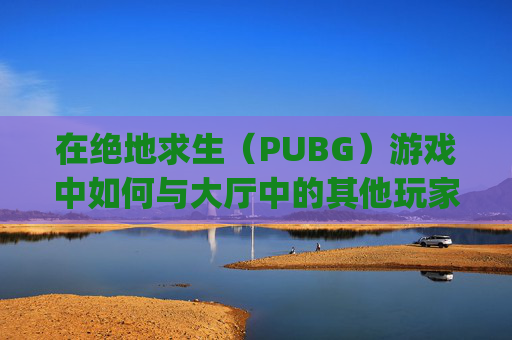 在绝地求生（PUBG）游戏中如何与大厅中的其他玩家交流-pubg怎么在大厅开麦