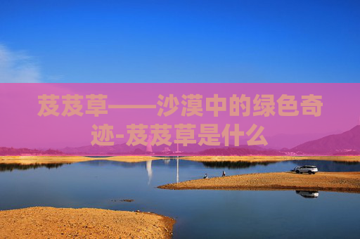 芨芨草——沙漠中的绿色奇迹-芨芨草是什么
