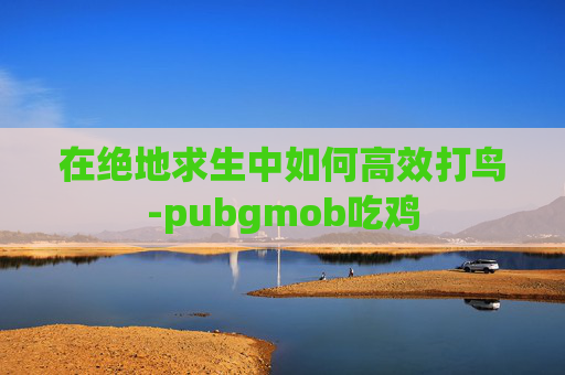在绝地求生中如何高效打鸟-pubgmob吃鸡