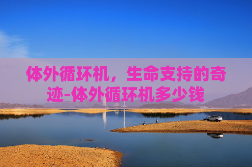 体外循环机,生命支持的奇迹-体外循环机多少钱 体外循环机,生命支持的奇迹-体外循环机多少钱