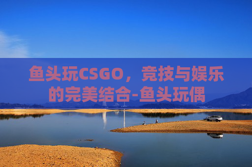 鱼头玩CSGO，竞技与娱乐的完美结合-鱼头玩偶