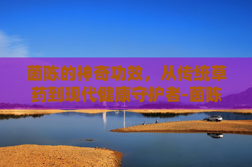 茵陈的神奇功效，从传统草药到现代健康守护者-茵陈的作用与功效及禁忌症