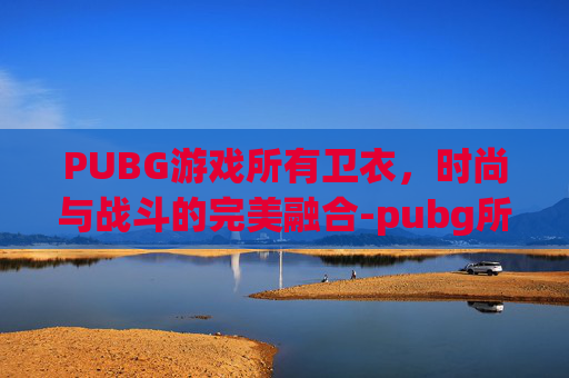 PUBG游戏所有卫衣，时尚与战斗的完美融合-pubg所有连帽卫衣
