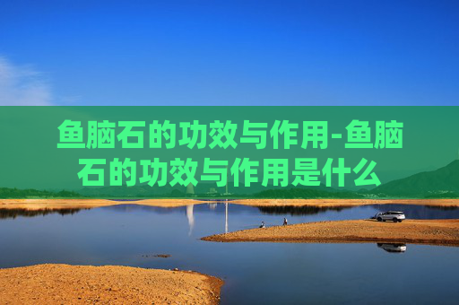 鱼脑石的功效与作用-鱼脑石的功效与作用是什么