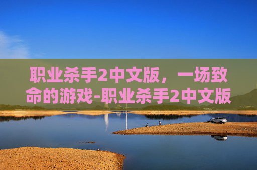 职业杀手2中文版，一场致命的游戏-职业杀手2中文版在线观看