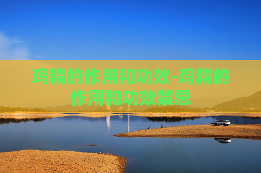 鸡精的作用和功效-鸡精的作用和功效禁忌