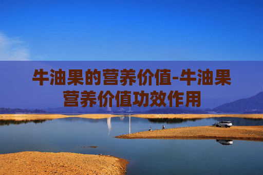 牛油果的营养价值-牛油果营养价值功效作用