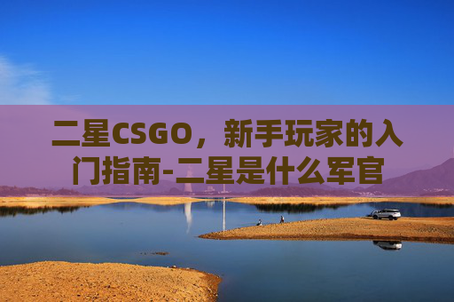 二星CSGO，新手玩家的入门指南-二星是什么军官