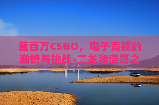 蓝百万CSGO，电子竞技的激情与挑战-二龙湖浩哥之霸道总裁蓝百万