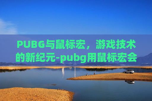 PUBG与鼠标宏，游戏技术的新纪元-pubg用鼠标宏会不会封号