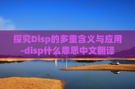 探究Disp的多重含义与应用-disp什么意思中文翻译