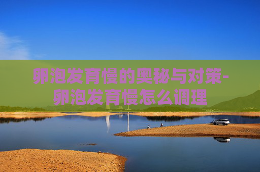 卵泡发育慢的奥秘与对策-卵泡发育慢怎么调理