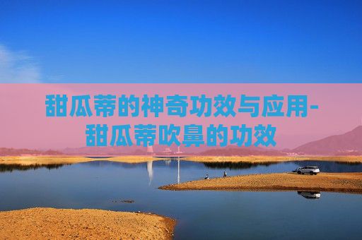 甜瓜蒂的神奇功效与应用-甜瓜蒂吹鼻的功效