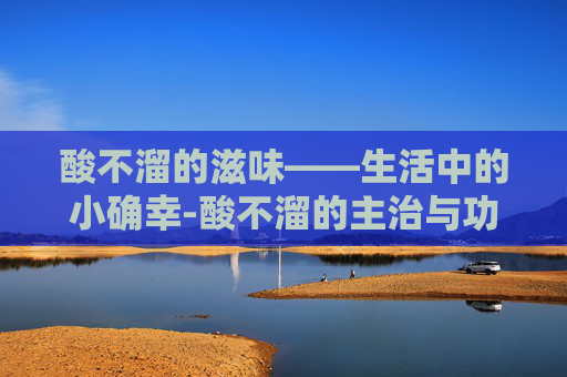 酸不溜的滋味——生活中的小确幸-酸不溜的主治与功效