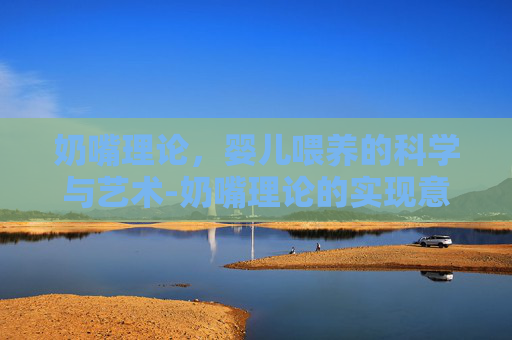 奶嘴理论，婴儿喂养的科学与艺术-奶嘴理论的实现意义