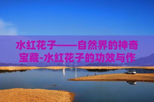 水红花子——自然界的神奇宝藏-水红花子的功效与作用及食用方法
