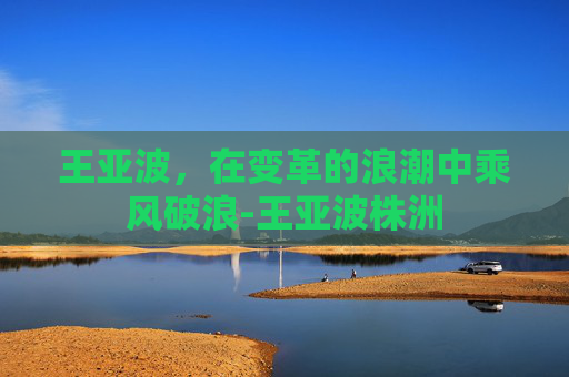 王亚波，在变革的浪潮中乘风破浪-王亚波株洲