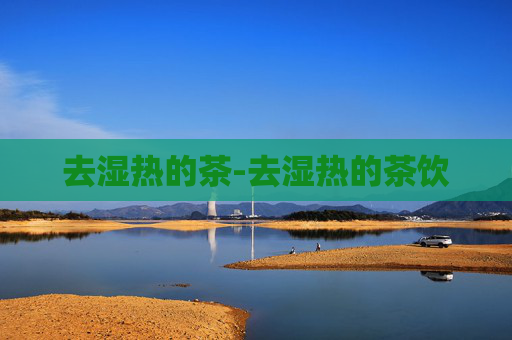 去湿热的茶-去湿热的茶饮