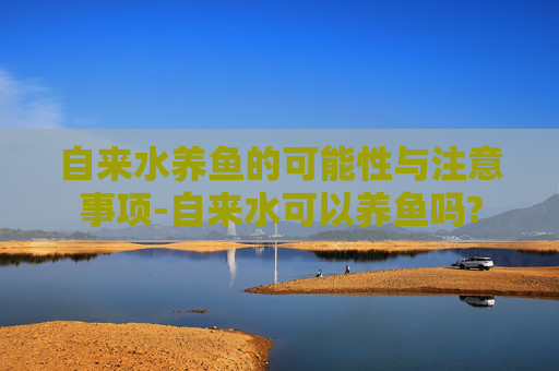 自来水养鱼的可能性与注意事项-自来水可以养鱼吗?